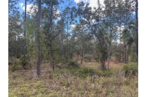 Se 129th Ct, DUNNELLON
