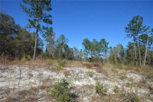 Sw 144 Pl, OCALA