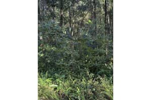 Sw 158th Ct, OCALA
