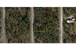 10799 Se 135th Ct, DUNNELLON
