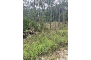 Lot 7 Sw 159th Ave, OCALA