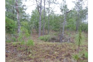 Tbd Pony Rdg, DUNNELLON