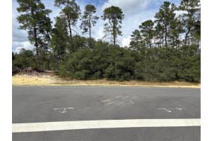 0 Sw 176th Lane Road, OCALA