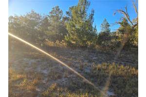 Tbd Sw 88 Ct, OCALA