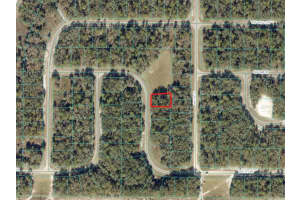 0000 Sw 72 Cir, OCALA