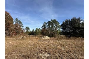 Tbd Sw 88th Ct, DUNNELLON