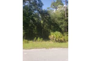 2949 W Grapevine Ct, DUNNELLON