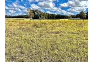 00 Jacksonville Rd, OCALA