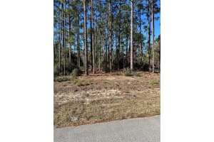 , DUNNELLON