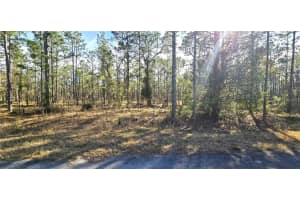 Lot 13 Nw Water Oak Avenue, DUNNELLON