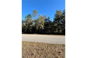 Lot 23 Sw 102 Street Rd, DUNNELLON