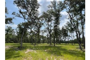 Tbd Nw 14th St. - Lot 6, OCALA