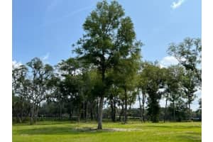 Tbd Nw 14th St. - Lot 7, OCALA