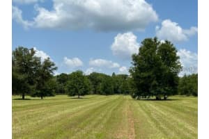 Tbd Nw 14th St. - Lot 2, OCALA