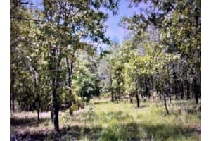 3830 Ne 127th Ct, WILLISTON