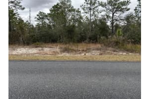 Sw Obee Ridge Rd, DUNNELLON