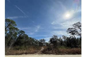 Sw 175th Ct, DUNNELLON