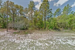 000 Marion Oaks Pass, OCALA