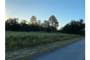 00 Sw Iris Ct, DUNNELLON