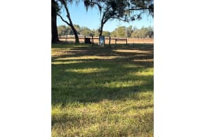 1851 Se 185 Ave, WILLISTON