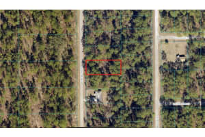 00 Sw Buena Vista Rd, DUNNELLON