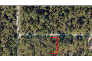 Tbd Nw Water Oak Ave, DUNNELLON