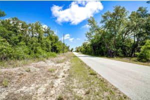 Tbd Sw Pineapple Hill Drive, DUNNELLON