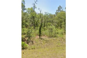 00 Nw Mallard Ave, DUNNELLON