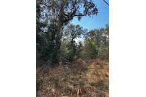 0 Cypress Road, Lot 12, OCALA