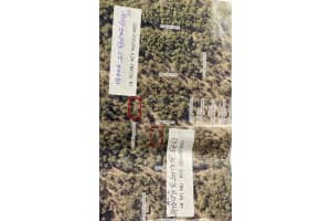 1373 Sw 153rd Ave, OCALA