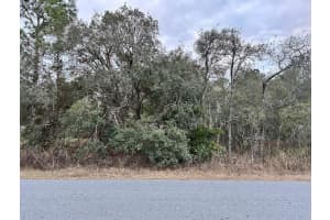 11434 Poorwill Ave, BROOKSVILLE