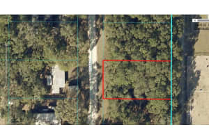 Sw 155 Ct, OCALA