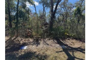Lot 15 Sw 139th Street Road, OCALA