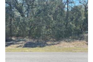 Lot 6 Sw 146th Lane Road, OCALA