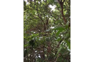000 Sw Winding Hill Avenue, DUNNELLON