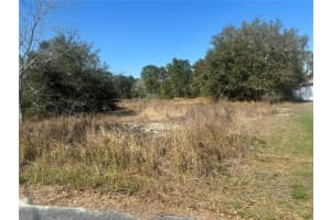 0000 Oak Run Pl, OCALA