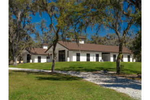 13037 Nw 115th St, OCALA