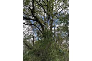 00 Sw 193 Cir, DUNNELLON