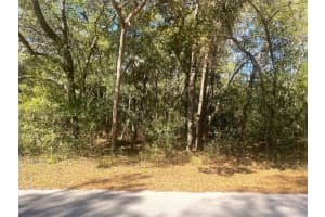 0000 Sw 199 Court Ct, DUNNELLON