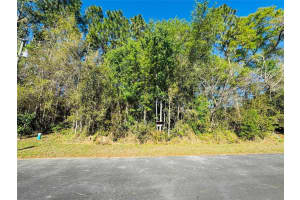 Silver Way Ct, OCALA