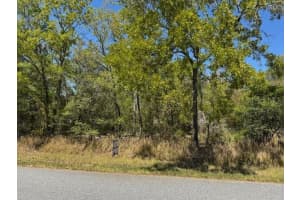 25 Elm Loop, OCALA