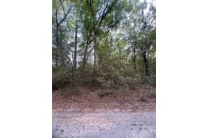 Tbd Sw 150 St, DUNNELLON