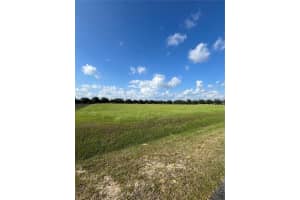 Tbd 54 Loop, OCALA