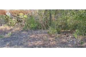 3844 E Crystal Ln, INVERNESS