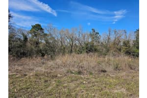00 Sw 153rd Street Road, OCALA