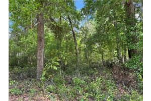 Tbd Sw Clearwater Ct, DUNNELLON