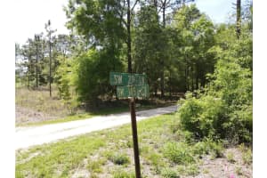 Sw 29 Ln, OCALA
