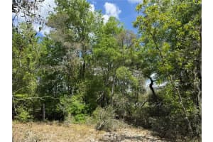 Tbd Sw Big Bear Rdg, DUNNELLON