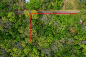 5043 S Palo Verde Pt, HOMOSASSA