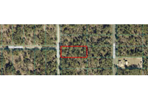 Tbd Sw Viburnum Rd, DUNNELLON
